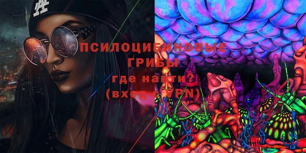 хмурый Алексеевка